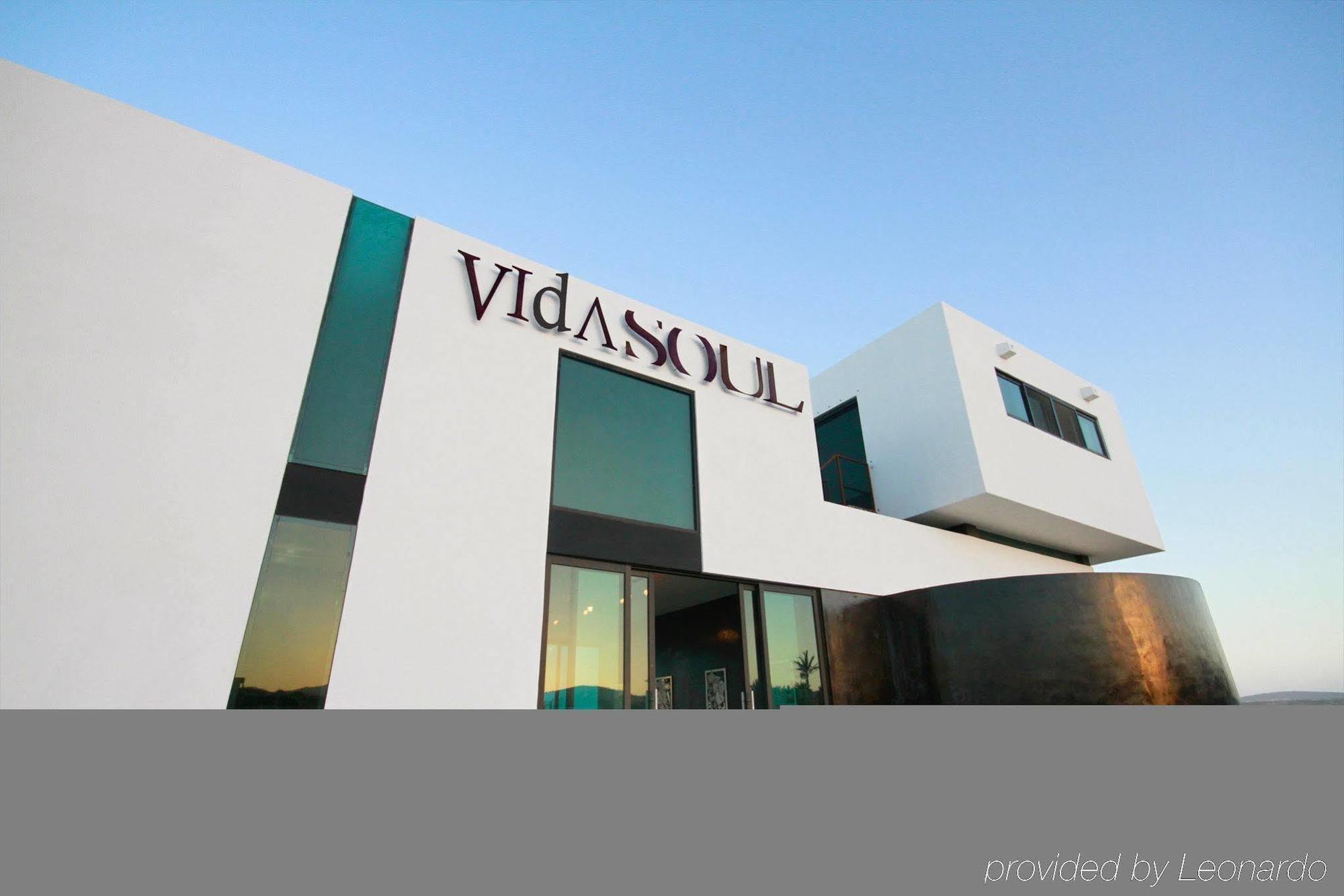 Vidasoul Boca de la Vinorama Dış mekan fotoğraf